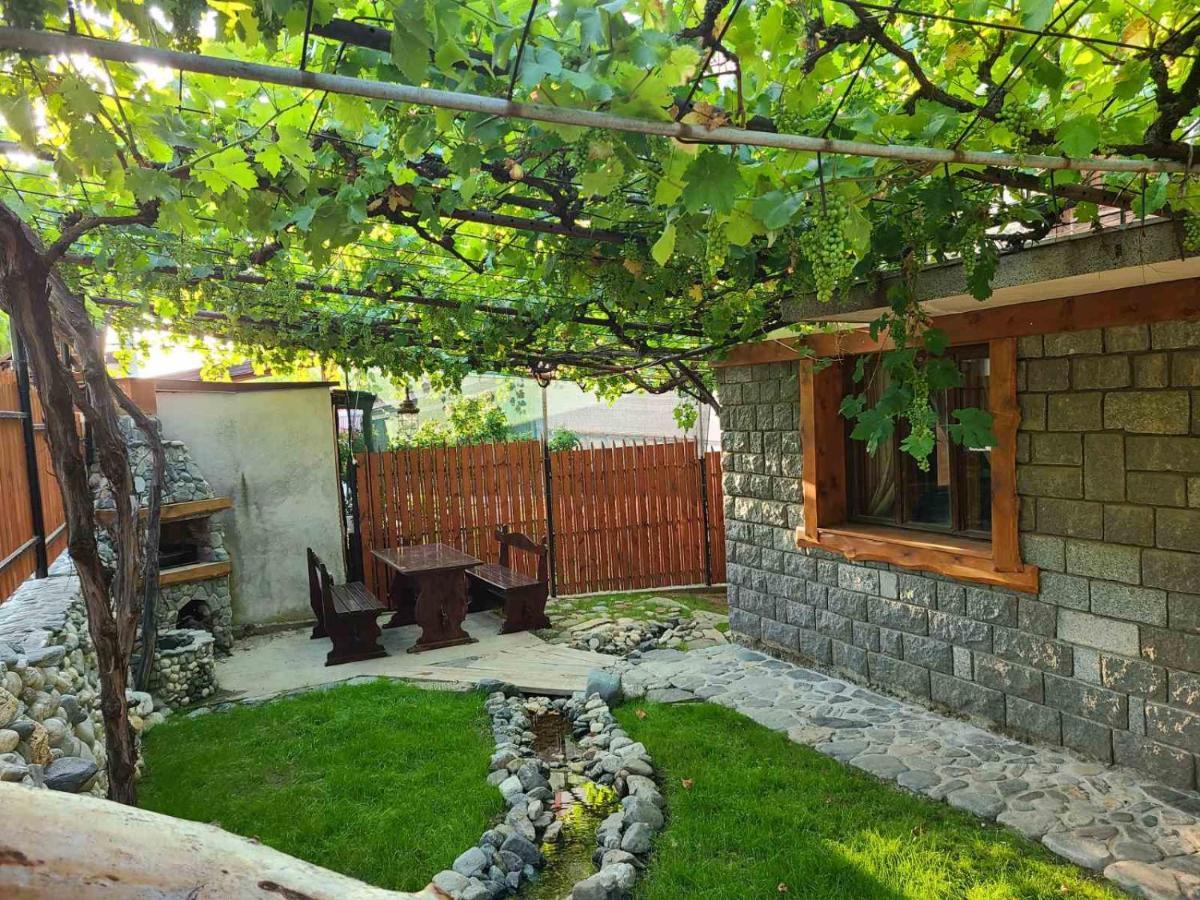 Вила 111 Saparewa Banja Exterior foto