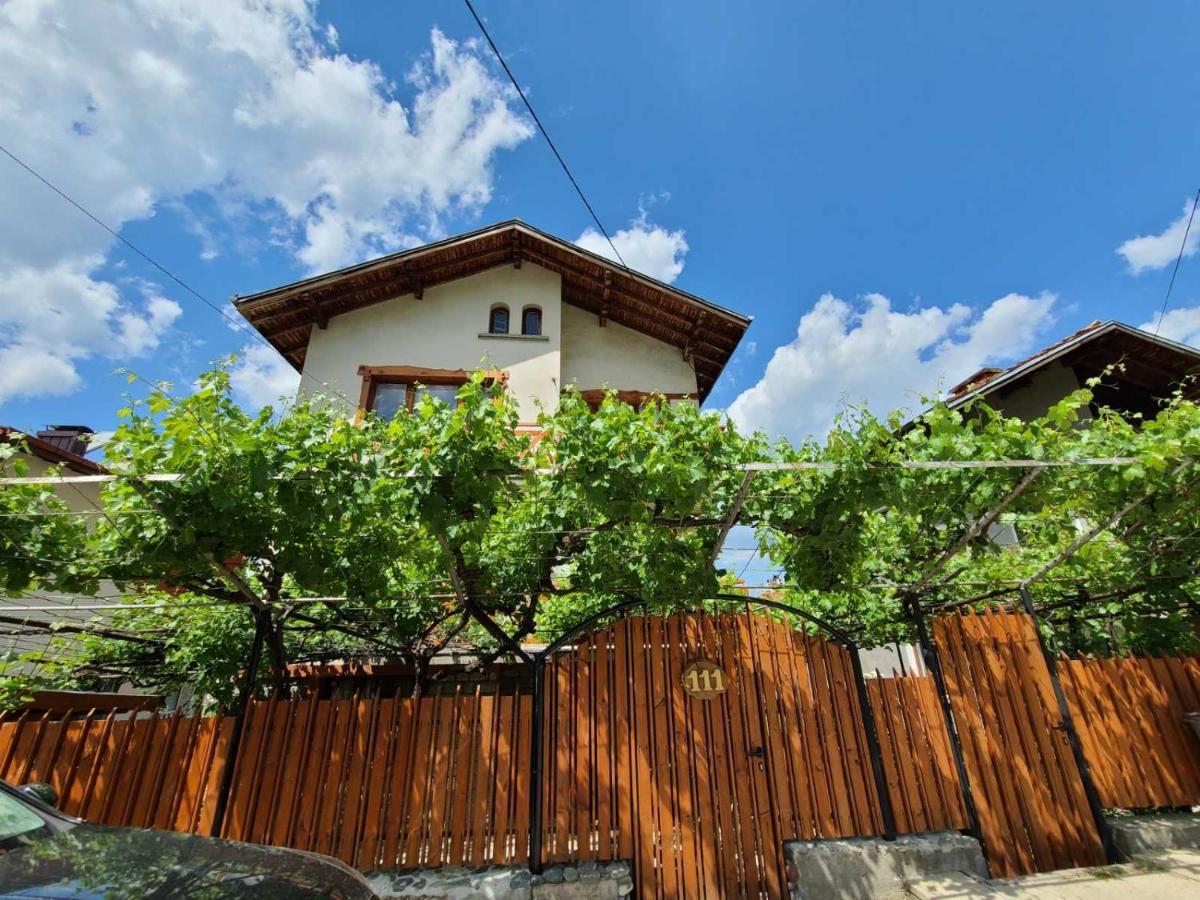Вила 111 Saparewa Banja Exterior foto